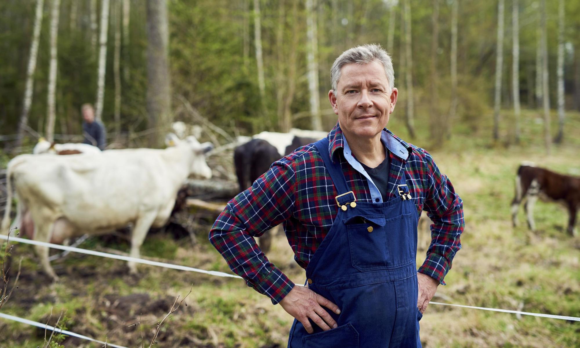 Male farmer with cows